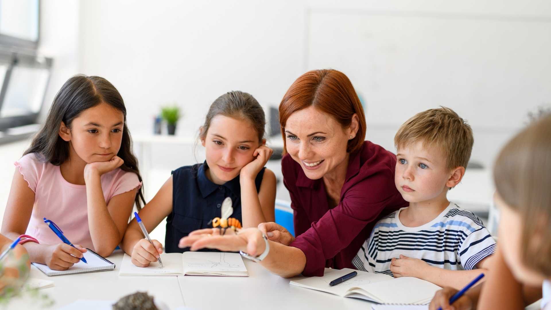 Teaching (Early Childhood, Primary, Secondary) course for australian pr by search education.jpg