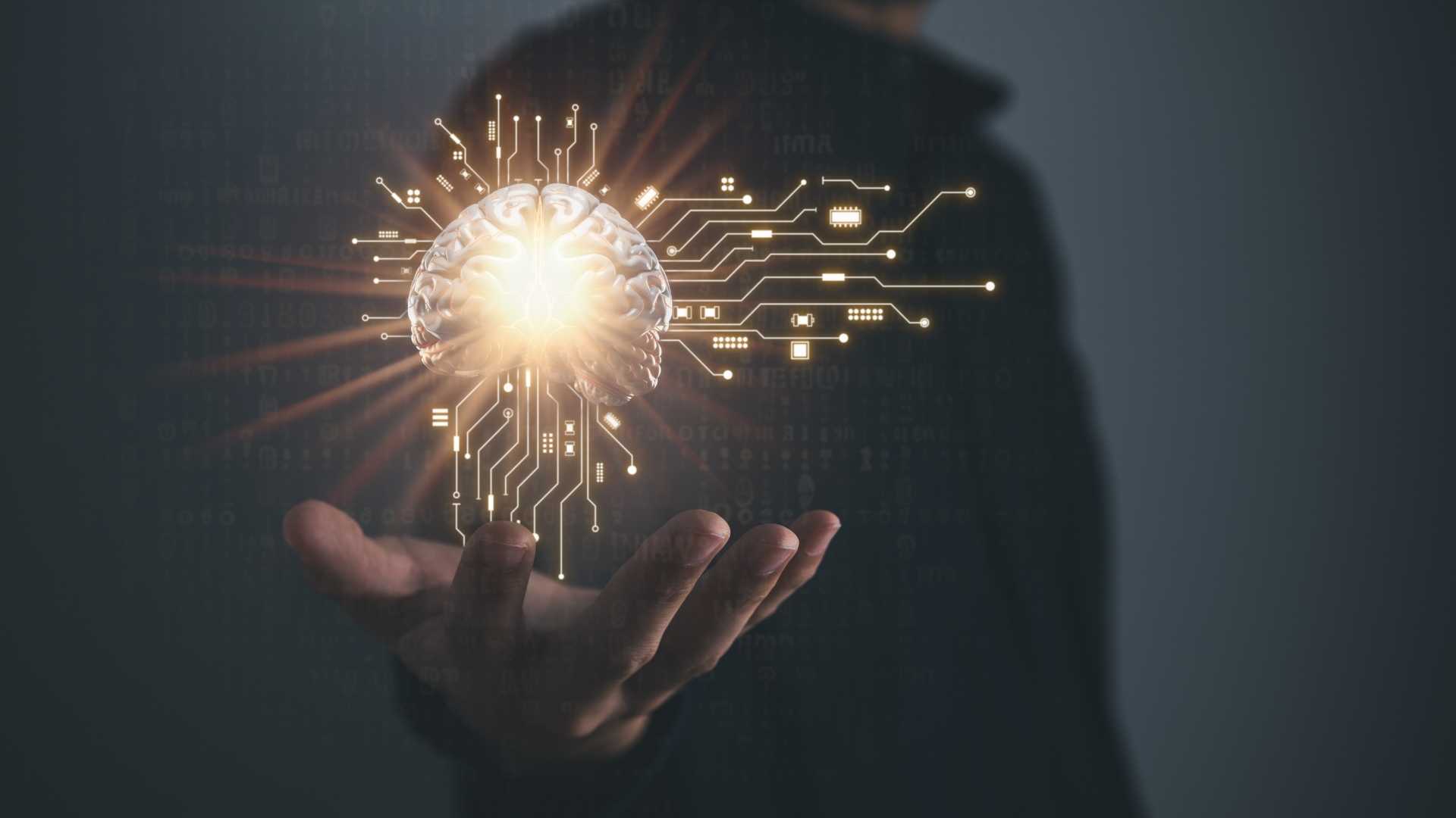 Professional Year in Information Technology (ACS)